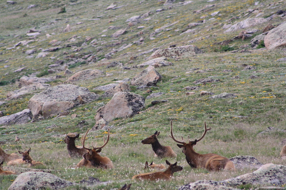 Rocky Mountain National Park