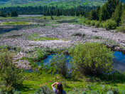 Shoshone National Forest