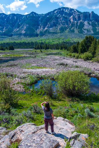 Shoshone National Forest