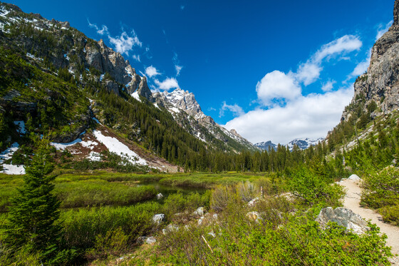 Grand Teton National Park