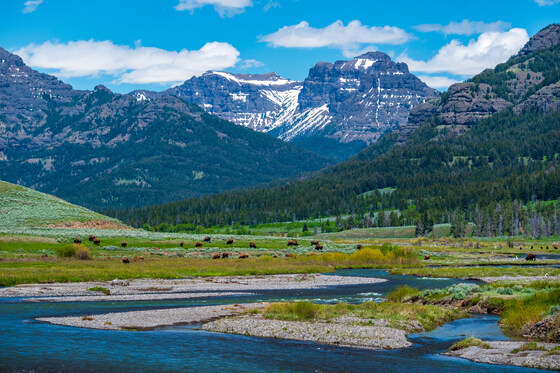 Yellowstone National Park