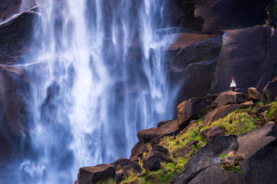 Yosemite National Park