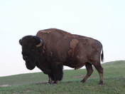 Badlands National Park
