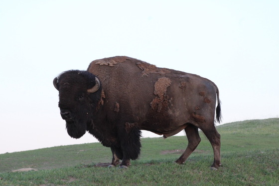 Badlands National Park