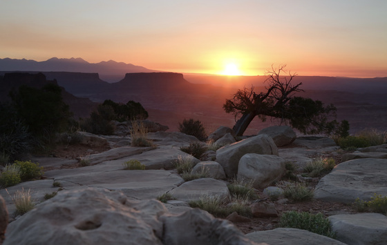 Canyonlands National Park (Maze District)