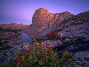 Pogo Agie Wilderness