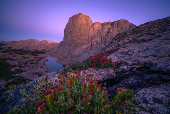 Pogo Agie Wilderness