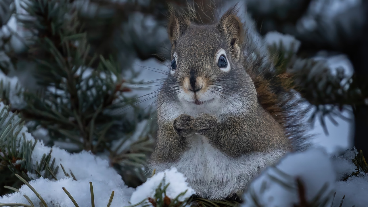 Penny For Your Thoughts?