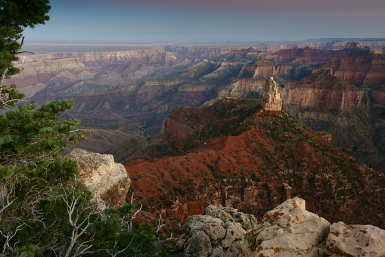 Kaibab National Forest