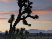 Death Valley National Park