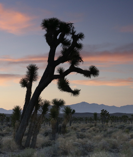 Death Valley National Park