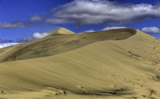Kelso Dunes Wilderness