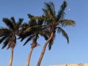 Everglades National Park 