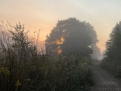 Cuyahoga Valley National Park 