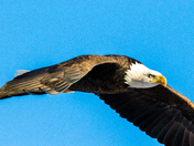 Bear Lake National Wildlife Refuge