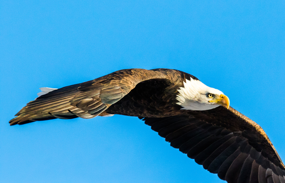 Bear Lake National Wildlife Refuge