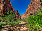 Zion National Park