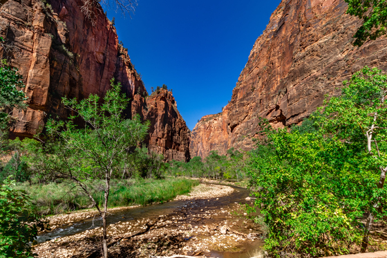 Zion National Park