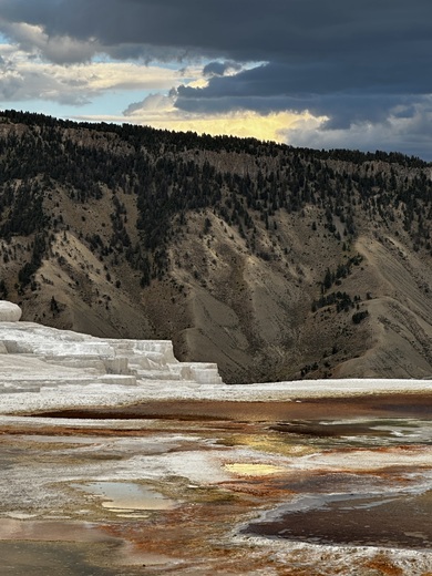 Mammoth Hot Springs, Yellowstone National Park