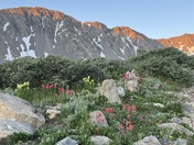 Arapaho National Forest