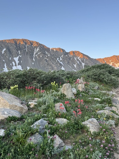 Arapaho National Forest