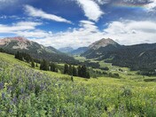 Gunnison National Forest