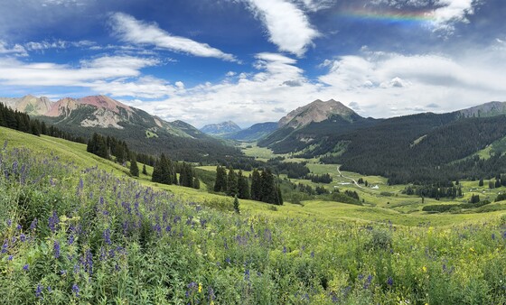 Gunnison National Forest