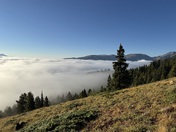 San Isabel National Forest