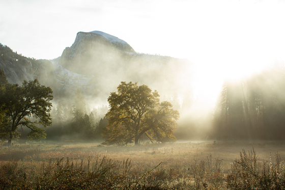 Yosemite National Park