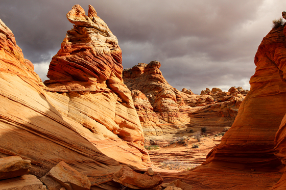 Paria Canyon-Vermilion Cliffs Wilderness