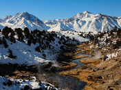 Inyo National Forest
