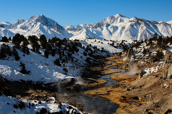 Inyo National Forest