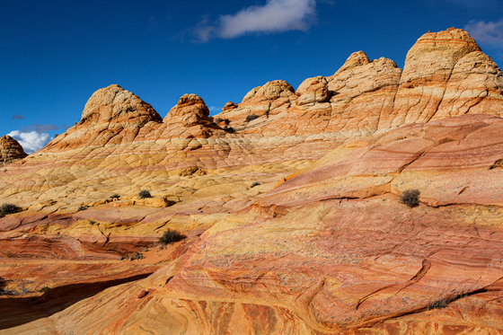 Paria Canyon-Vermilion Cliffs Wilderness