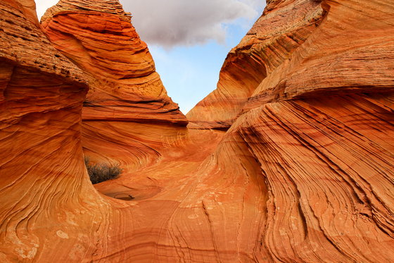 Paria Canyon-Vermilion Cliffs Wilderness