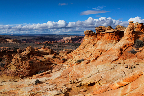Paria Canyon-Vermilion Cliffs Wilderness