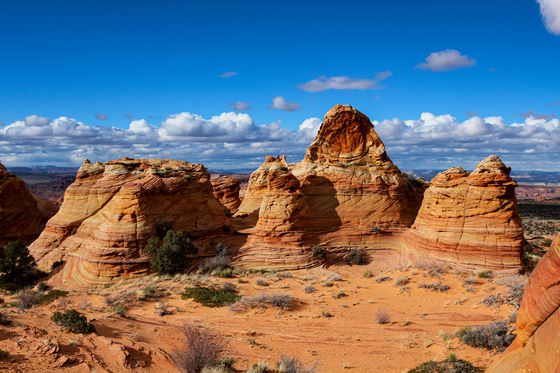 Paria Canyon-Vermilion Cliffs Wilderness
