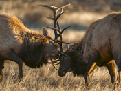 Rocky Mountain National Park