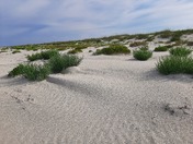 Cumberland Island National Seashore