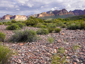 Tonto National Forest