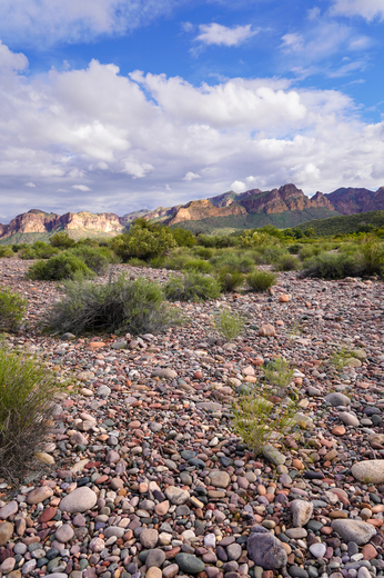 Tonto National Forest
