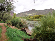 Tonto National Forest