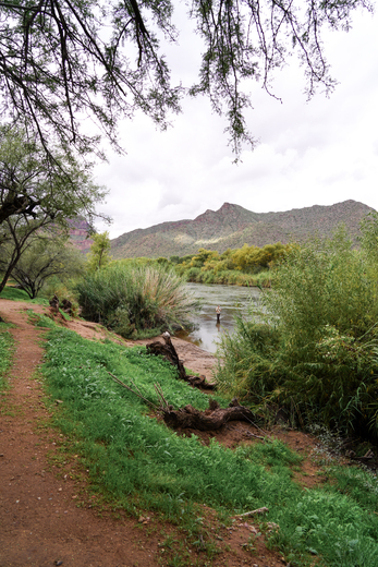 Tonto National Forest