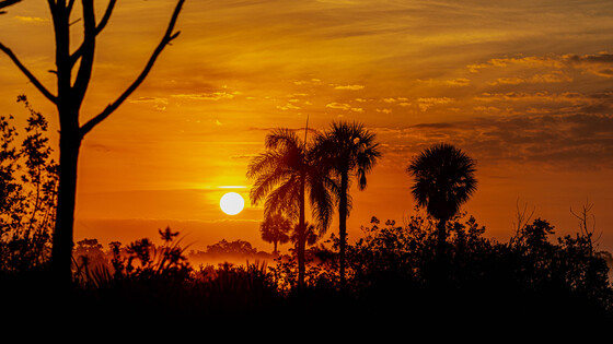 Everglades National Park