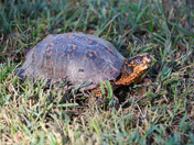 Chesapeake and Ohio Canal National Historical Park