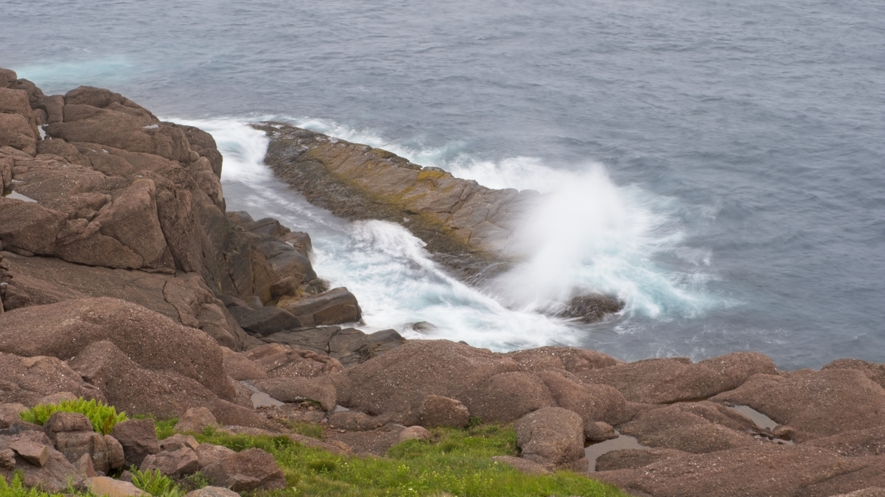 Cape Spear XI
