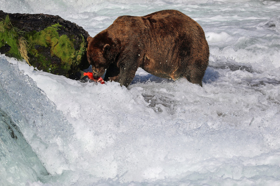 Katmai National Park