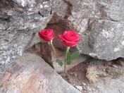 Harpers Ferry National Historic Park