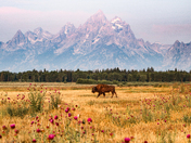 Grand Teton National Park