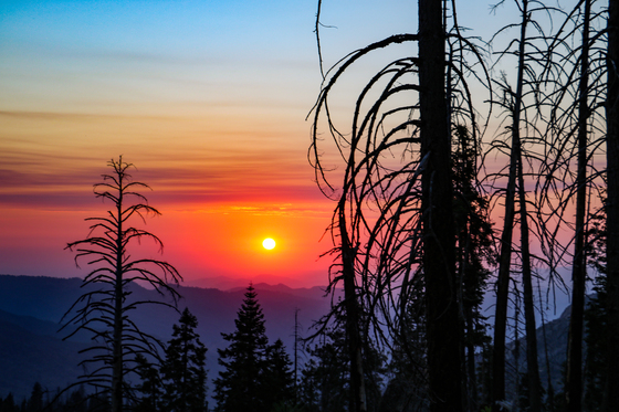 Kings Canyon National Park