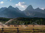 Grand Teton National Park